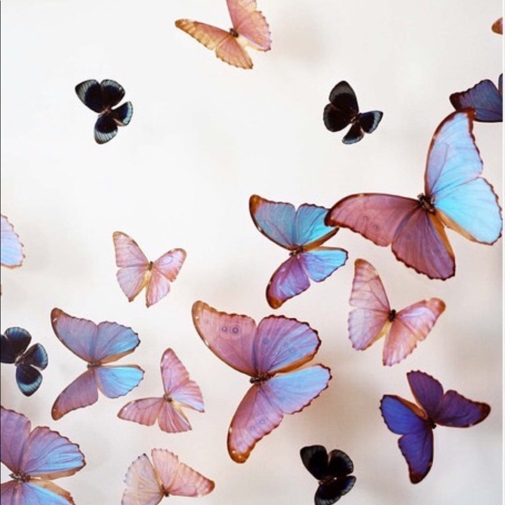 💎CLOSET CLEAROUT💎